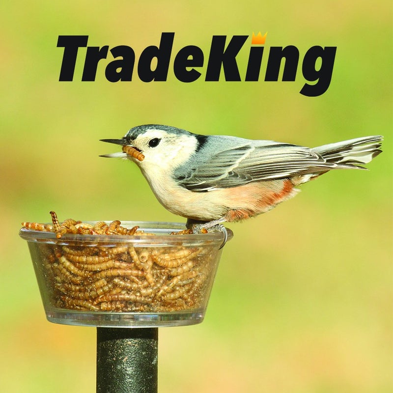 TradeKing 1 lb Dried Mealworms - High Protein Treat for Wild Birds, Chicken, Fish & Reptiles - Image 4